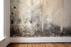 black mold